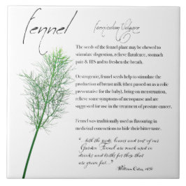 Kruidenapotheek: venkel | Keramische Tegel Tegeltje