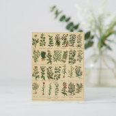  kruidenBriefkaart reeks - 4 Briefkaart (Staand voorkant)