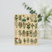  kruidenBriefkaart reeks - 5 Briefkaart (Staand voorkant)