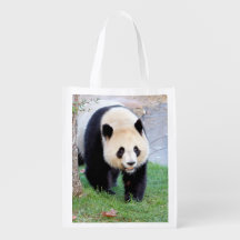 kruidenierszak Fotogigant panda 0406. boodschappen