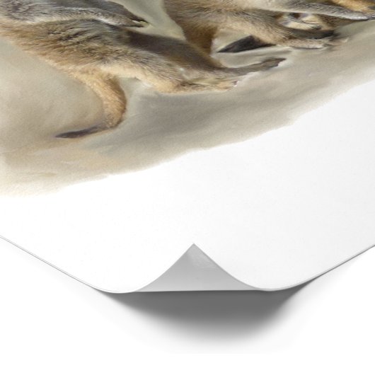 kruideniet poster (Hoek)