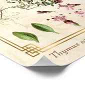  kruidenillustraties Wilde Thyme Botanisch Poster (Hoek)