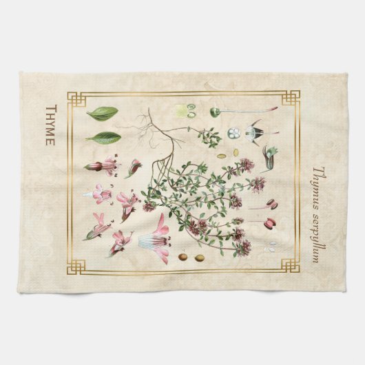 kruidenillustraties Wilde Thyme Botanisch Theedoek (Horizontaal)