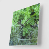 Kruidenklok Vierkante Klok (Hoek)