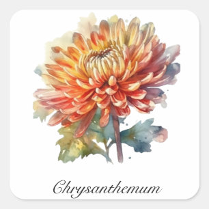 Kruidenleven: Chrysanthemum aanpasbaar Vierkante Sticker