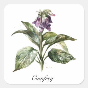 Kruidenleven: Comfrey aanpasbaar Vierkante Sticker