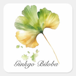Kruidenleven: Ginkgo Biloba blad aanpasbaar Vierkante Sticker