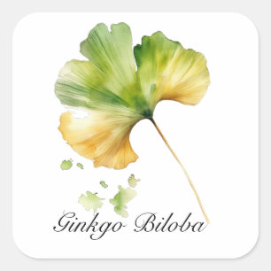 Kruidenleven: Ginkgo Biloba blad aanpasbaar Vierkante Sticker