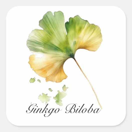 Kruidenleven: Ginkgo Biloba blad aanpasbaar Vierkante Sticker (Voorkant)