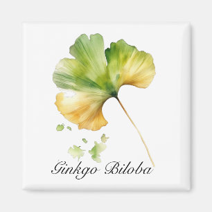 Kruidenleven: Ginkgo Biloba leaf waterverf Magneet