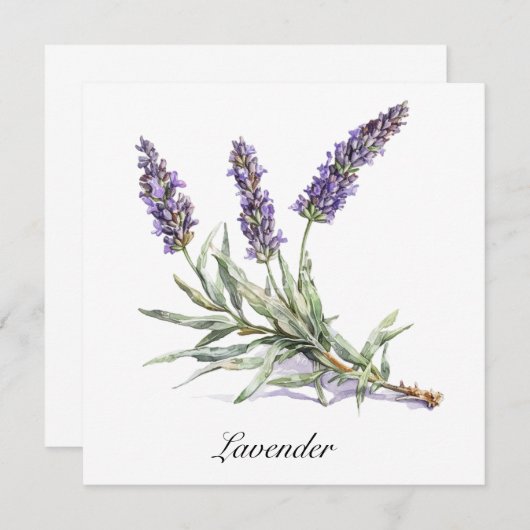 Kruidenleven: Lavendel, aanpasbaar (Voorkant / Achterkant)