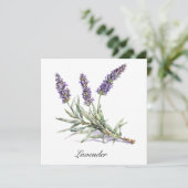 Kruidenleven: Lavendel, aanpasbaar (Staand voorkant)