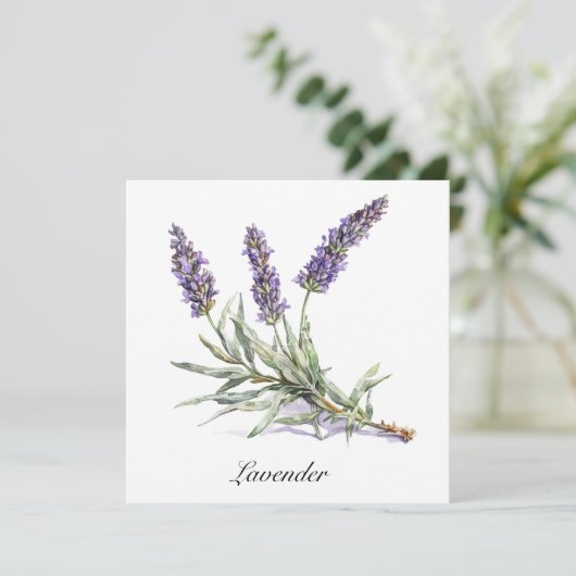 Kruidenleven: Lavendel, aanpasbaar (Staand voorkant)
