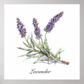Kruidenleven: Lavendel, aanpasbaar Poster (Voorkant)