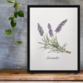 Kruidenleven: Lavendel, aanpasbaar Poster