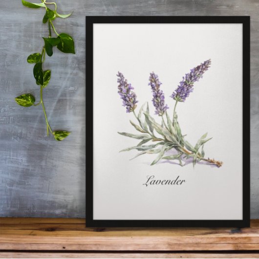 Kruidenleven: Lavendel, aanpasbaar Poster