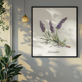 Kruidenleven: Lavendel, aanpasbaar Poster