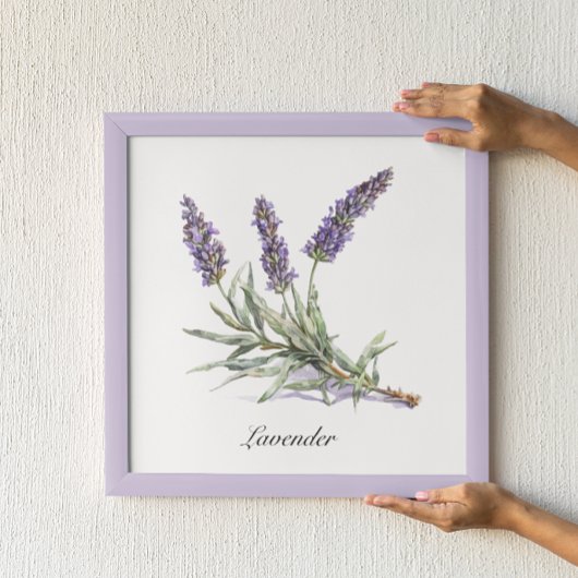Kruidenleven: Lavendel, aanpasbaar Poster
