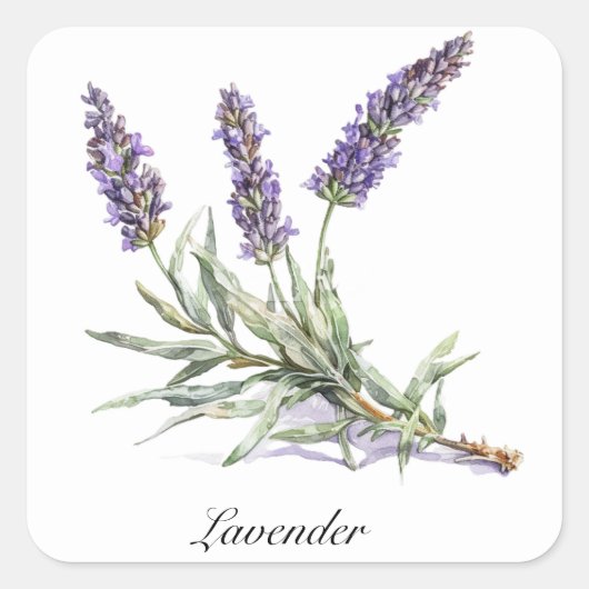 Kruidenleven: Lavendel, aanpasbaar Vierkante Sticker (Voorkant)