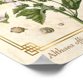  kruidenmoerasschilderij van Plant Poster (Hoek)