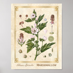 kruidenmoerasschilderij van Plant Poster