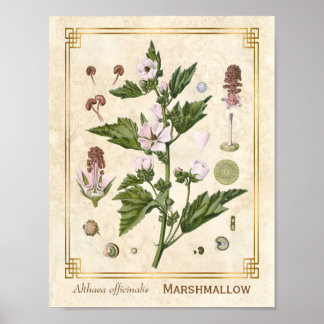 kruidenmoerasschilderij van Plant Poster