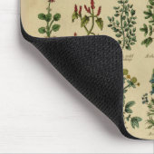  kruidenMuismat Muismat (Hoek)