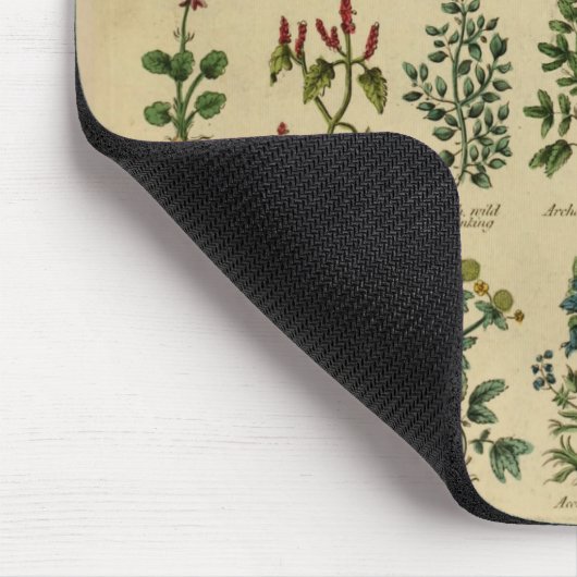  kruidenMuismat Muismat (Hoek)