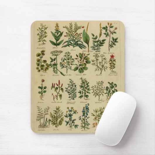  kruidenMuismat Muismat (Met muis)