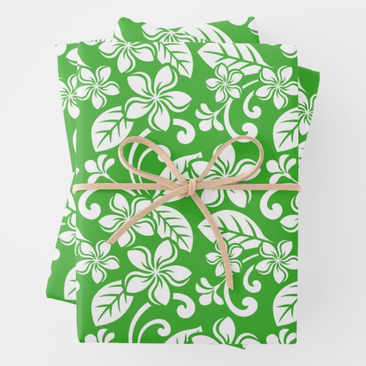 KRUIDENPAPIER SHEE VAN ISLAND PLUMERIA (CITRUS GRE INPAKPAPIER VEL (In situ)