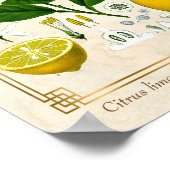  kruidenPlant Lemon Fruit Botanische kunst Poster (Hoek)