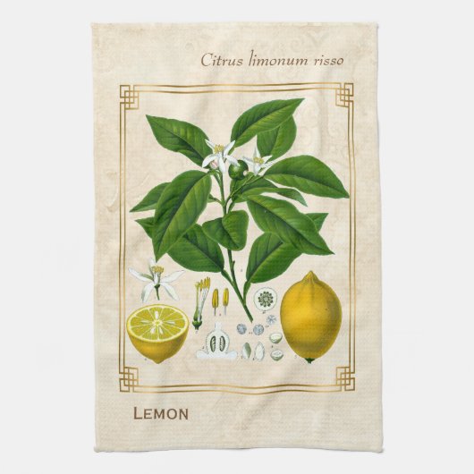  kruidenPlant Lemon Fruit Botanische kunst Theedoek (Verticaal)