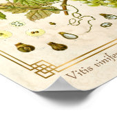  kruidenpreparaat grafietvinnen botanisch poster (Hoek)