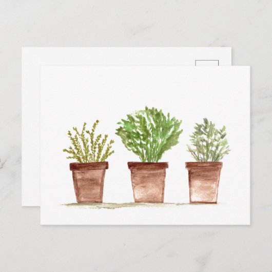 Kruidensage, rozemarijn, tijmtuin briefkaart (Voorkant / Achterkant)