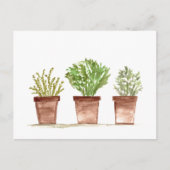 Kruidensage, rozemarijn, tijmtuin briefkaart (Voorkant)