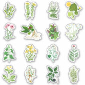 Kruidensetsticker Sticker (Voorkant)