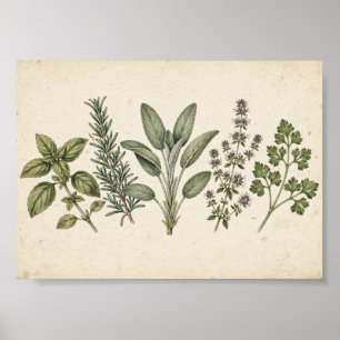 Kruidentuin Keukenprint — Vintage Botanisch Poster