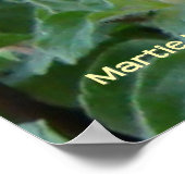 kruidentuinteken poster (Hoek)