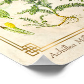 kruidenventilator Botanisch Poster (Hoek)