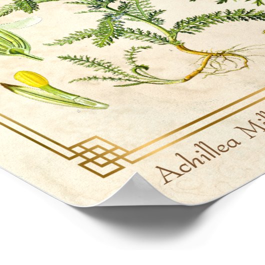 kruidenventilator Botanisch Poster (Hoek)