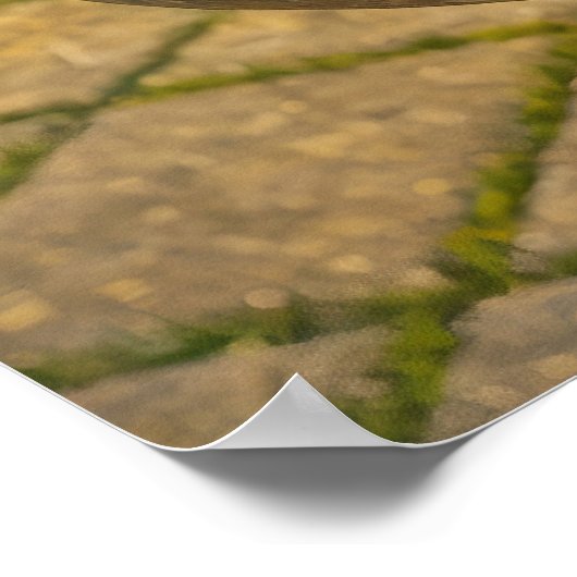 Kruidenwijsheid uit het oude botanische boek poster (Hoek)