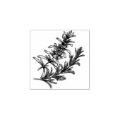 kruidenwitte achtergrond rubberstempel (Afrduk)