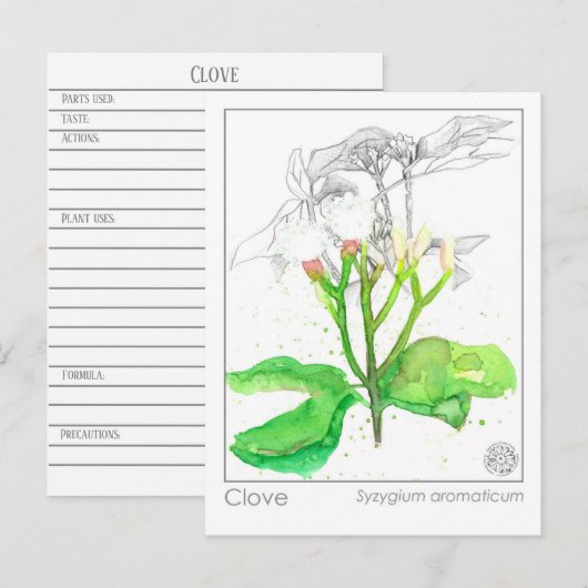 Kruidnagel Spice Materia Medica Monograph Herbal Briefkaart (Voorkant / Achterkant)