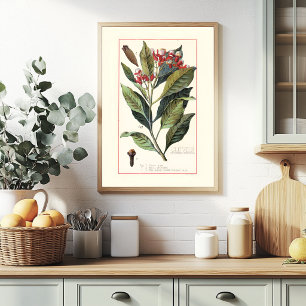 KRUIDNAGELS - VINTAGE BOTANISCHE ILLUSTRATIE POSTER