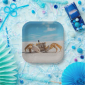 Kruik en strand papieren bordje (Feest)