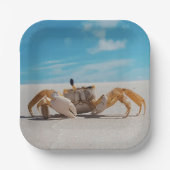 Kruik en strand papieren bordje (Voorkant)