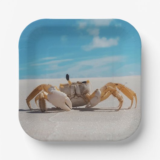 Kruik en strand papieren bordje (Voorkant)