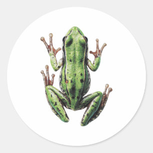 Kruipende kikker ronde sticker