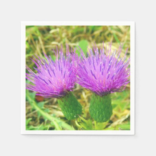 Kruipende of Field Thistle Papieren servetten (Voorkant)