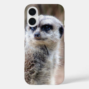 kruiper iPhone 16 hoesje